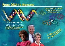 From DNA to Humans